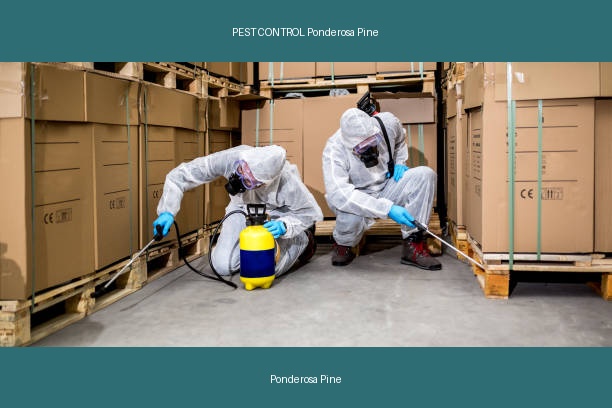 PEST CONTROL Ponderosa Pine